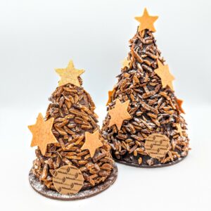 Sapin rocher