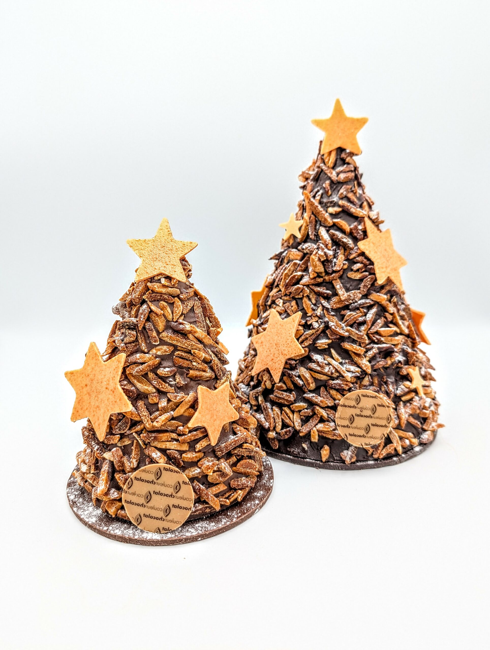 Sapin rocher